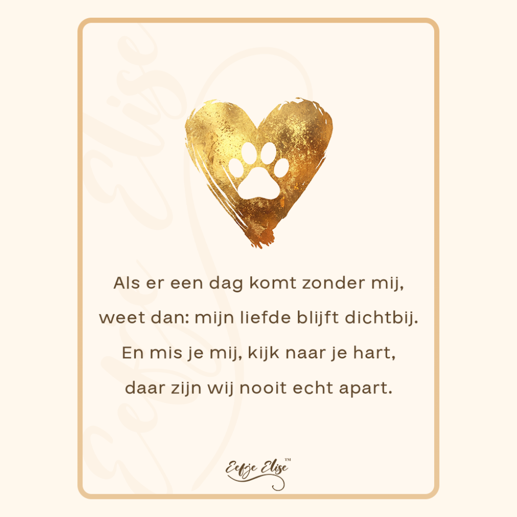 Gepersonaliseerde Huisdier Foto Urn Ketting