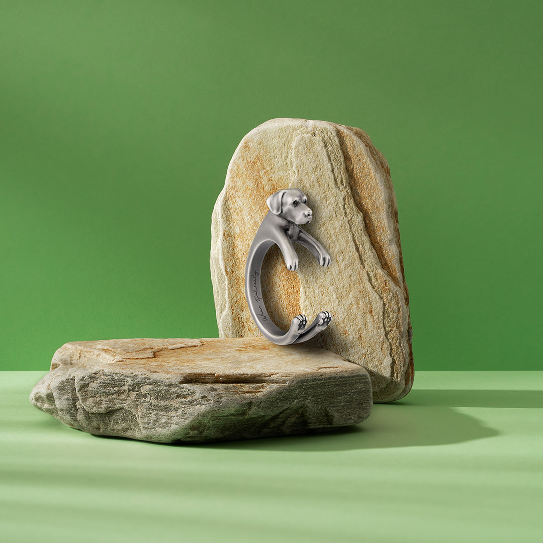 Labrador Retriever Wikkelring