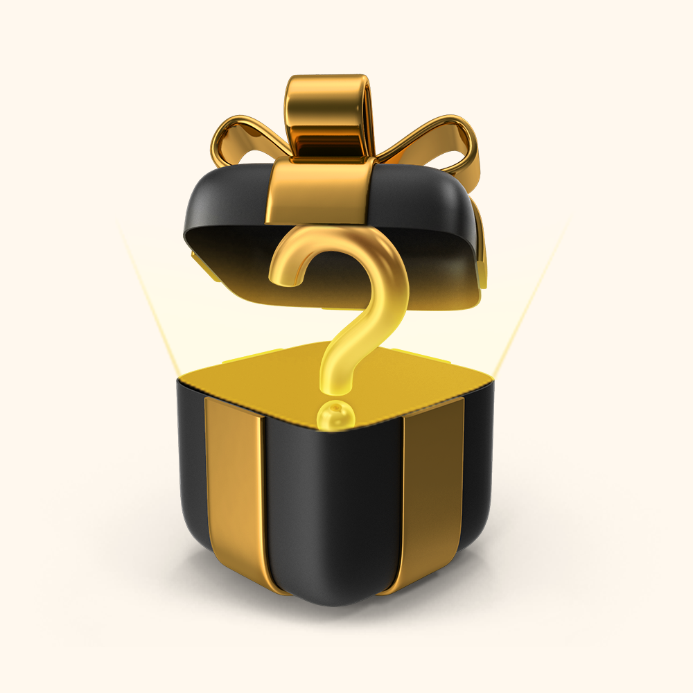 MYSTERY GIFT SIERAAD