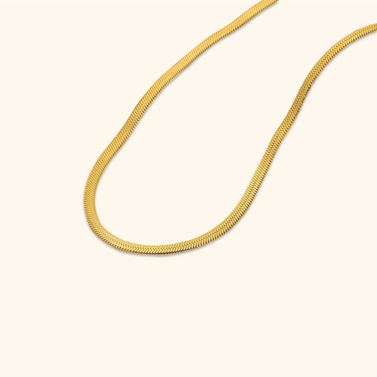 Trendy visgraatketting