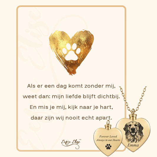 Gepersonaliseerde Huisdier Foto Urn Ketting